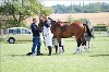 UKPA NC SAT_2304